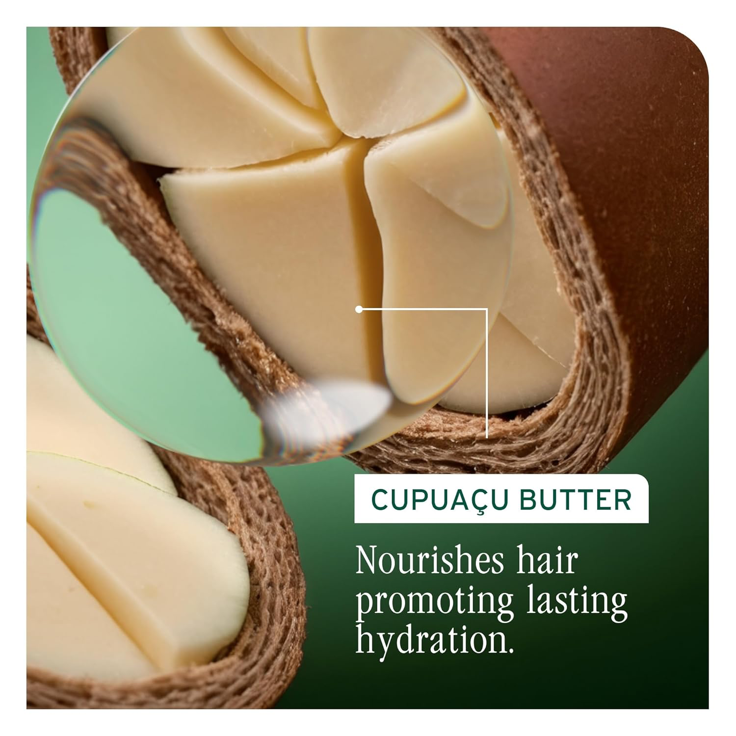 Biolage Ultra Hydra Source Conditioner - Intensely Condition, For Very Dry, Thick, Coarse Hair, Infused with Micro-dosed with Cupuaçu Butter & Salicylic Acid view 4