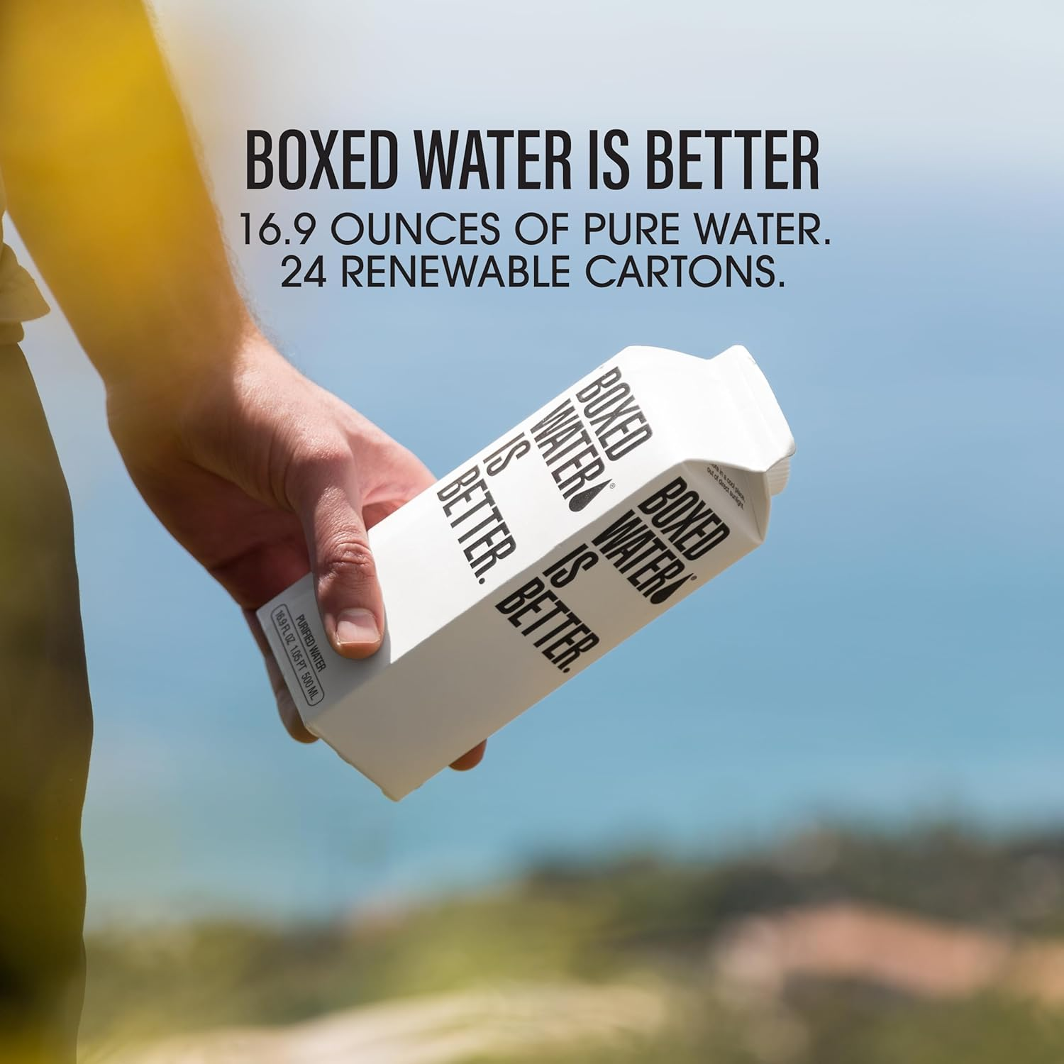Boxed Water view 2
