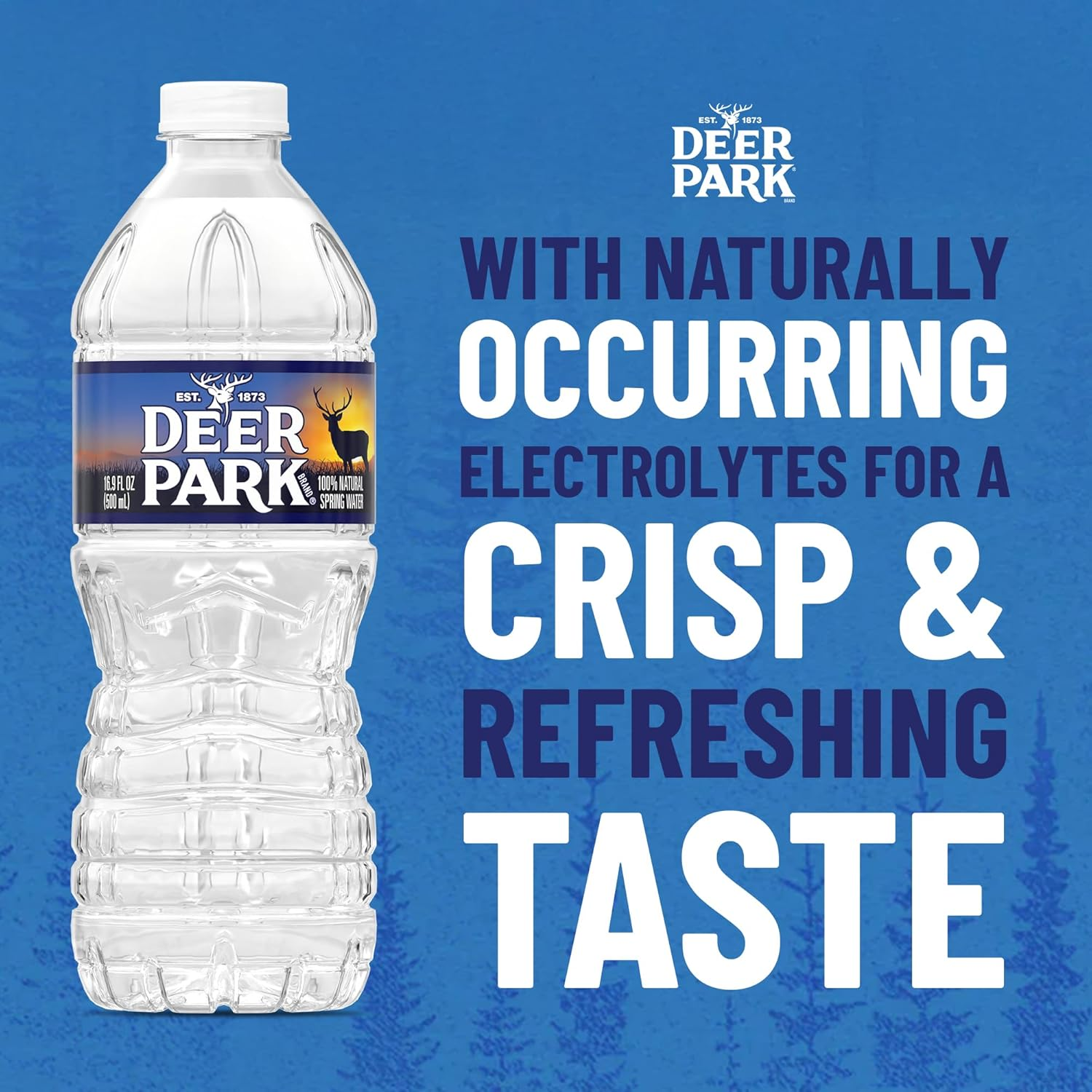 Deer Park Spring Water view 2