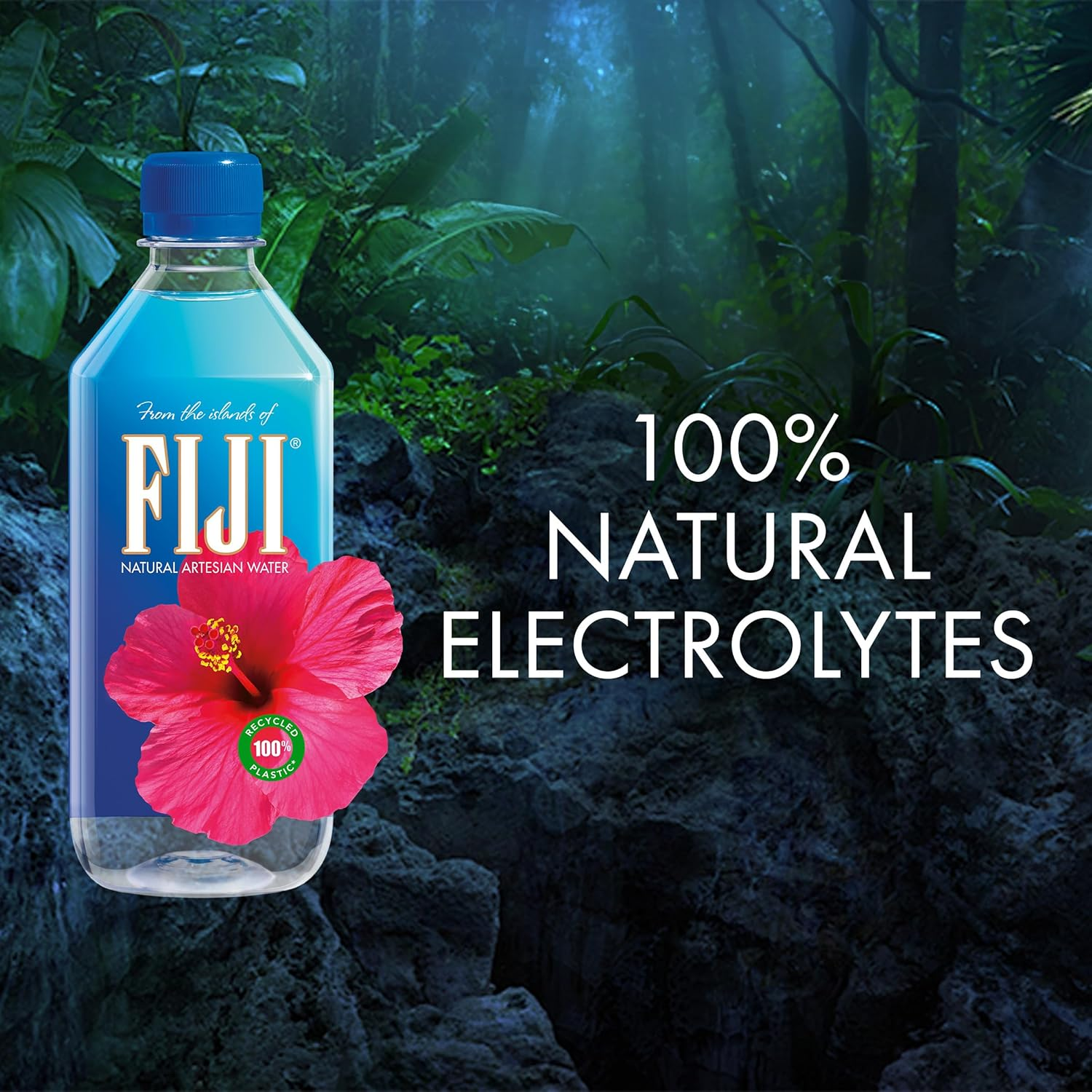 FIJI Natural Artesian Water view 4