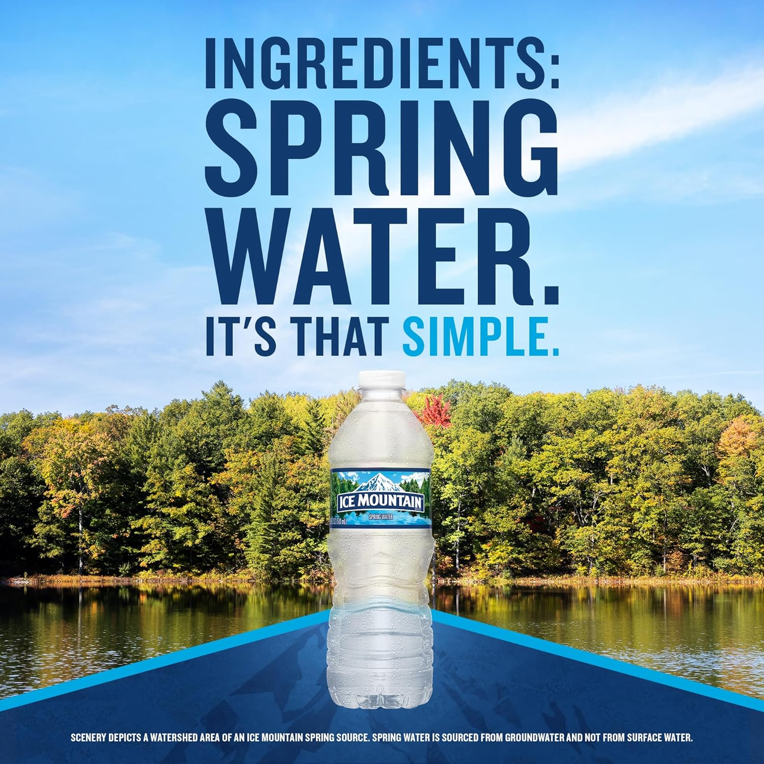 Ice Mountain Spring Water view 3