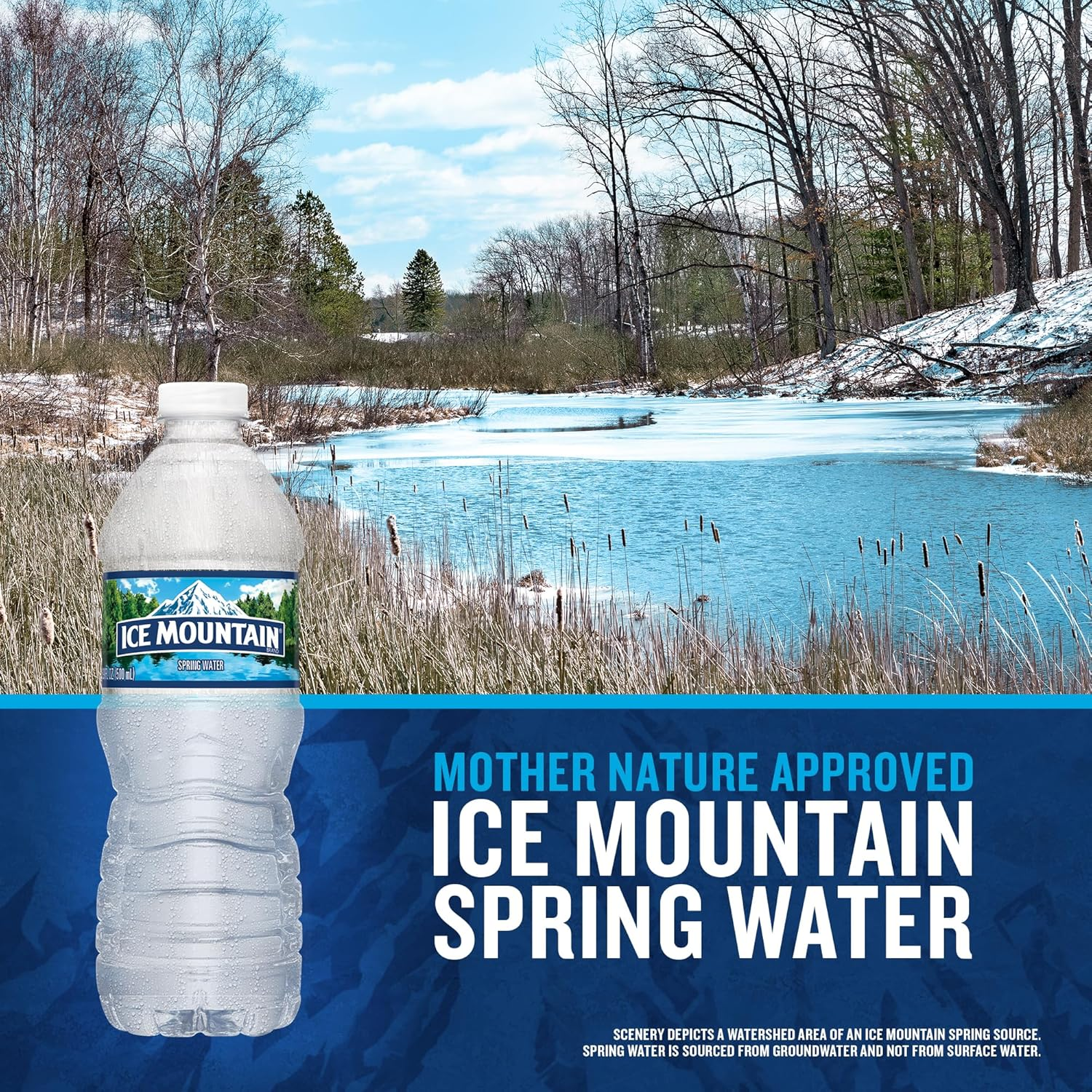 Ice Mountain Spring Water view 4