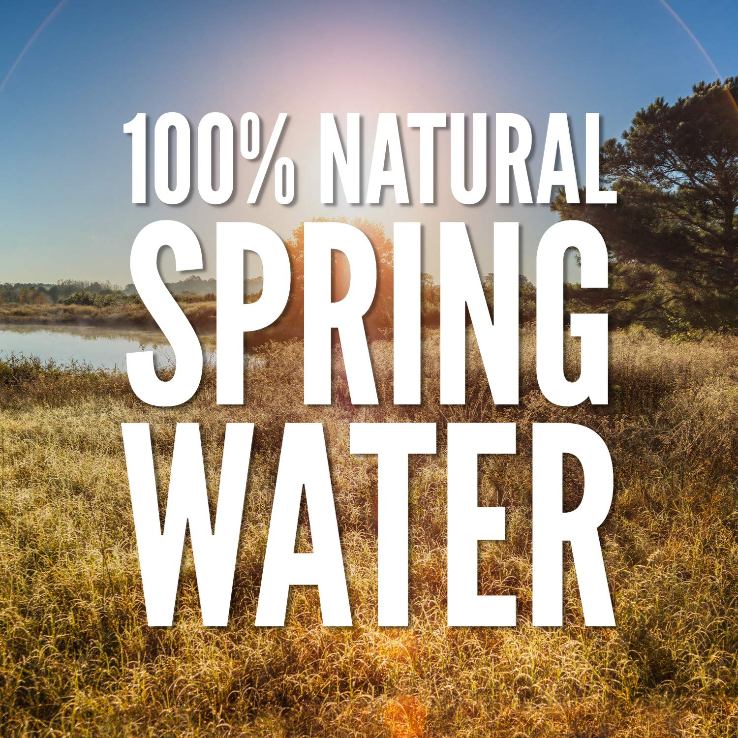 Ozarka Spring Water view 2