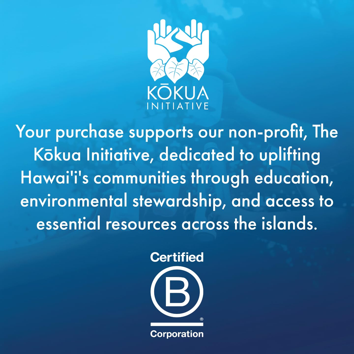 Waiakea Hawaiian Volcanic Water view 3