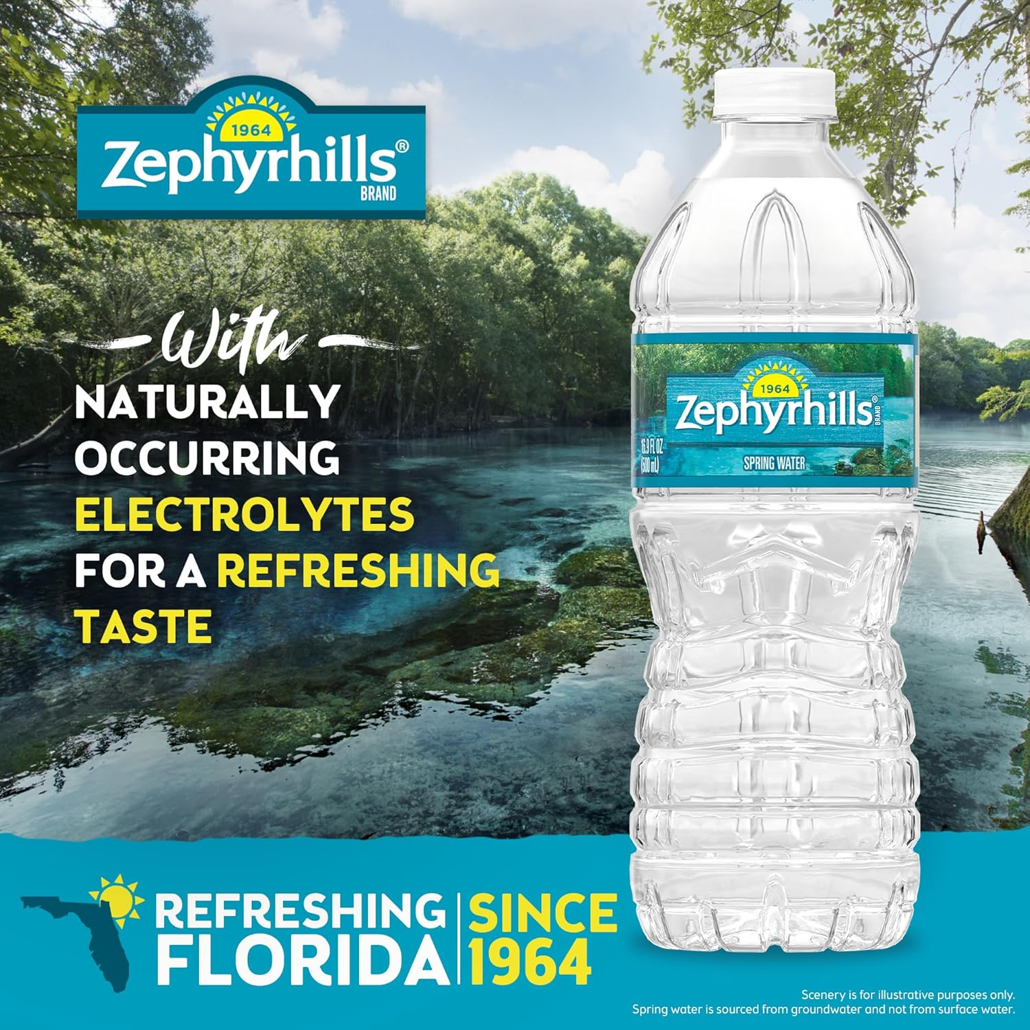 Zephyrhills Spring Water view 2