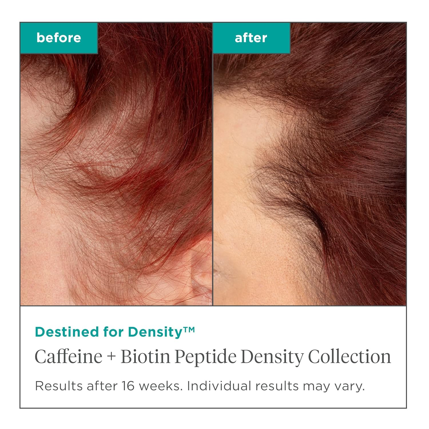 Briogeo Destined For Density Caffeine + Biotin Peptide Density Shampoo, Increases Hair Thickness and Volume for Fine or Thinning Hair, Vegan, Cruelty-Free, 8 fl oz view 4