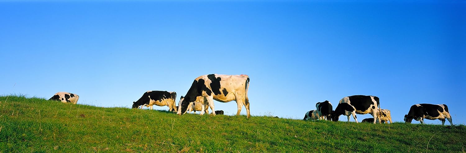 Anchor Butter New Zealand, Unsalted. Pack of 2 x 16oz packs (2lb) view 3