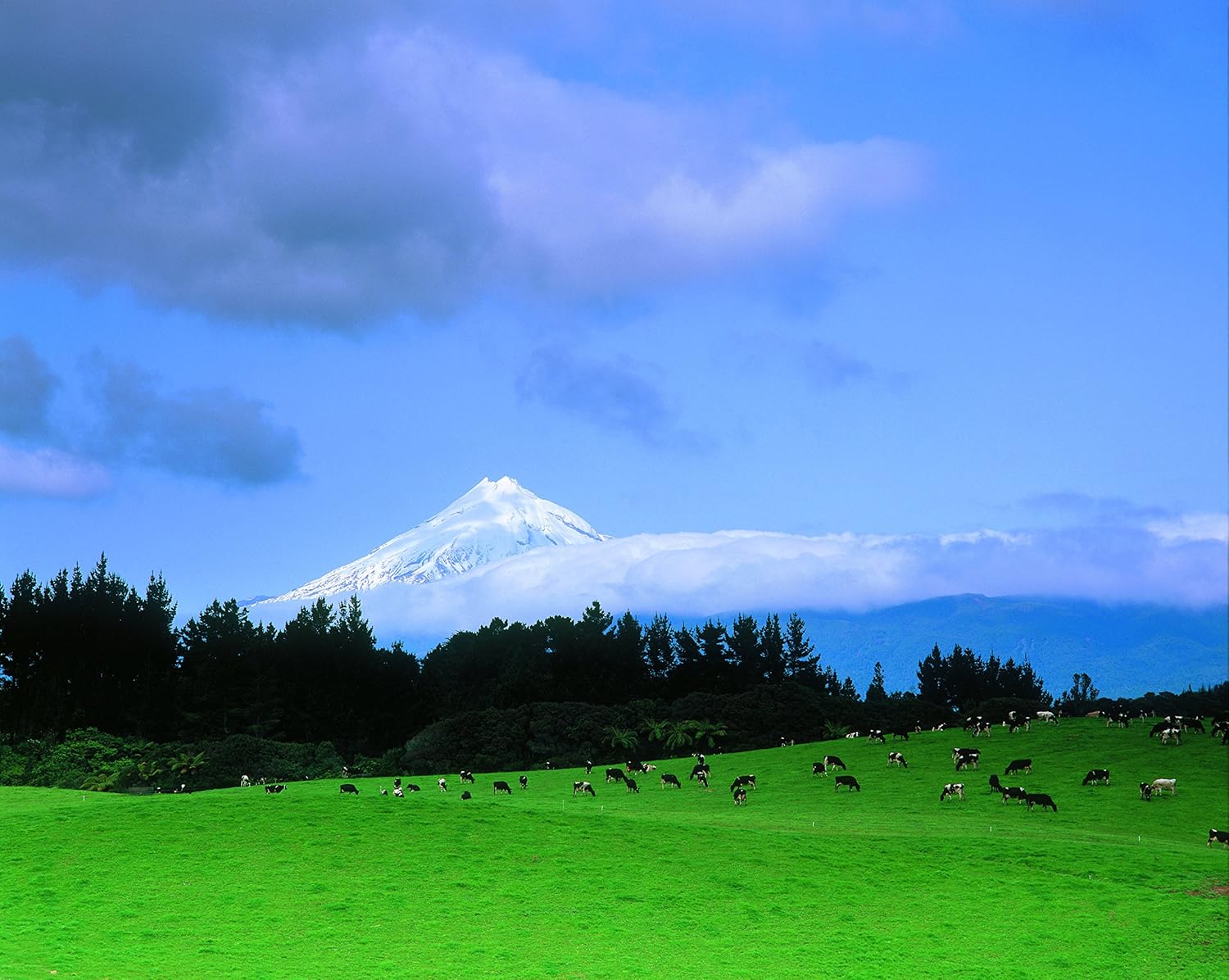 Anchor Butter New Zealand, Unsalted. Pack of 2 x 16oz packs (2lb) view 4