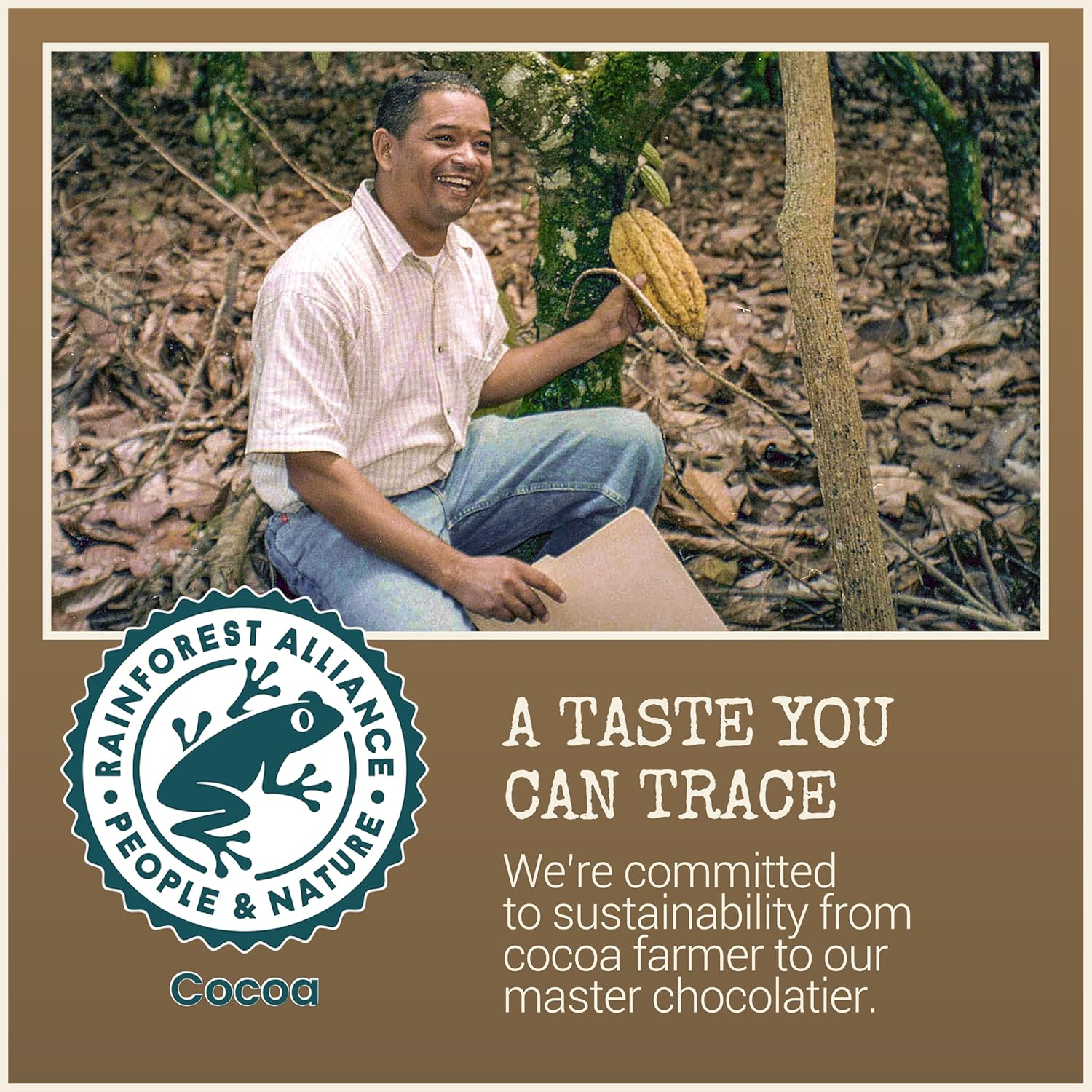 Chocolove Extra Strong Dark Chocolate 77% view 4