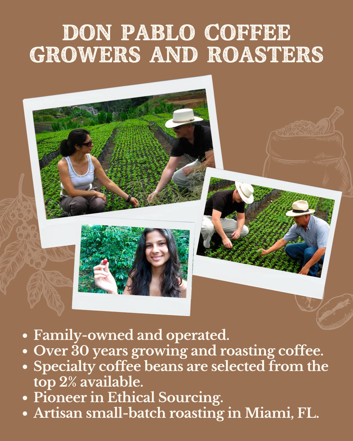 Subtle Earth Organic Coffee Medium-Dark Roast view 4