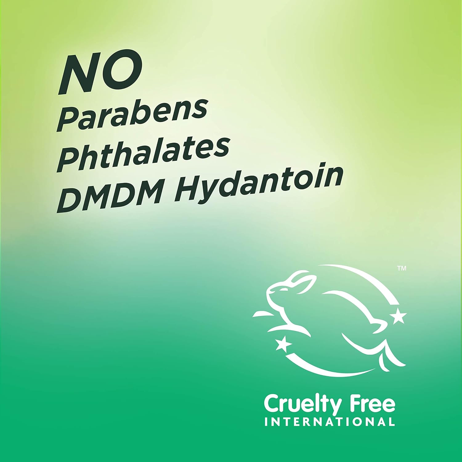 Garnier Fructis Sleek & Shine Leave-In Cream view 4