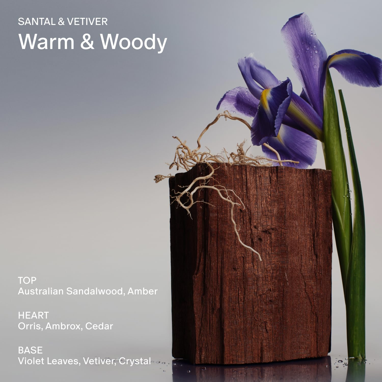 Salt & Stone Deodorant - Santal & Vetiver view 3