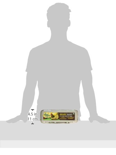 Wilcox Family Farm, Eggs Brown Large Organic, 12 Count view 2