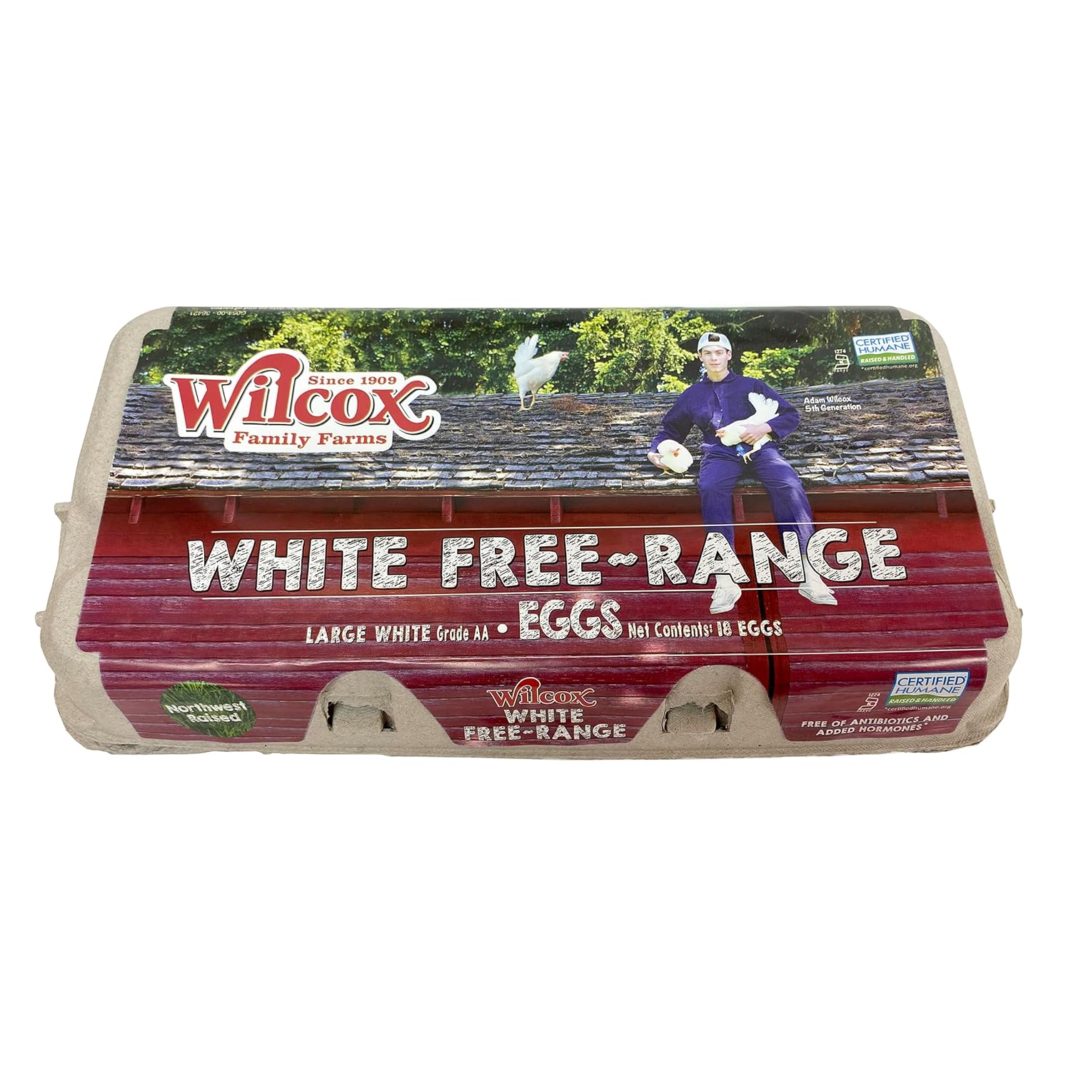 Wilcox Free Range Large White Eggs, 18ct