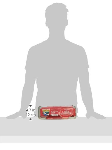 Horizon Organic Organic Large Grade A Eggs, 12 ct view 3