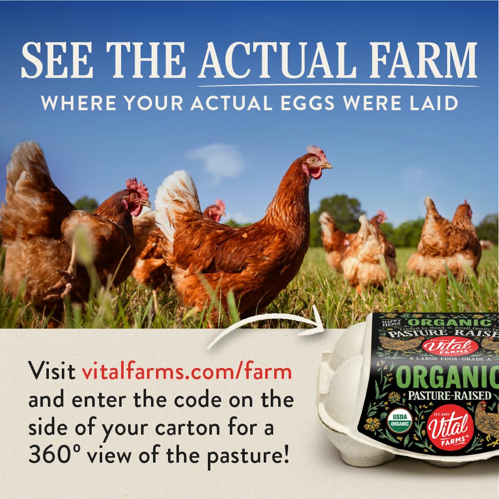 Vital Farms Organic Pasture Raised Eggs Large Brown, 12 Count view 3