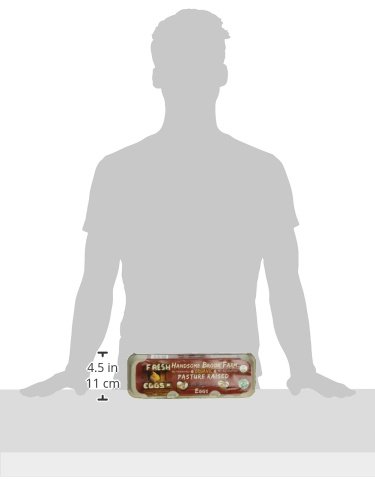 Handsome Brook Farm Eggs Pasture Raised Organic view 3