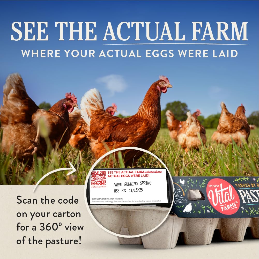 Vital Farms Pasture-Raised Grade A Large Eggs - 12ct view 2