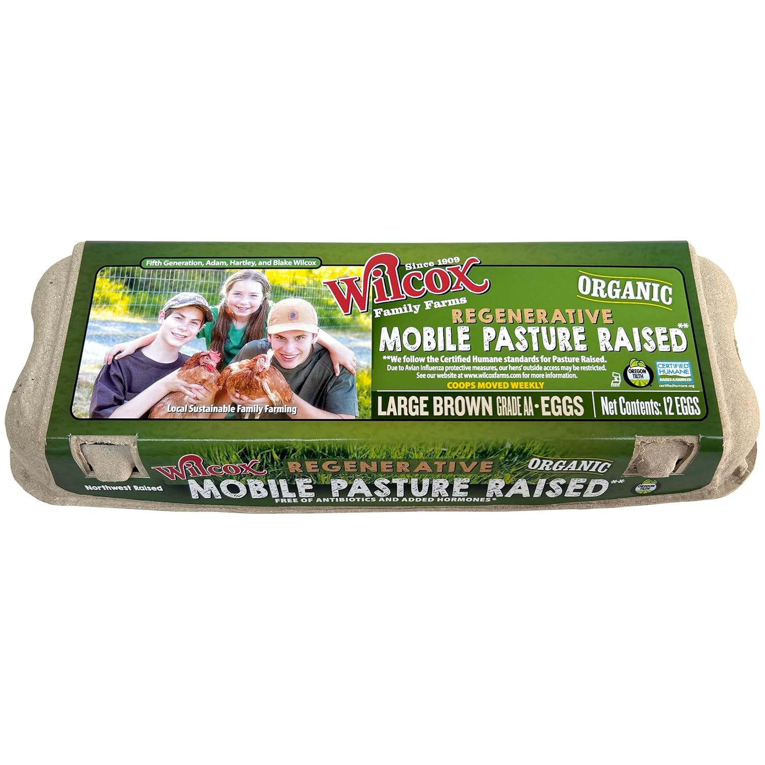 Wilcox Pasture Raised Organic Large Eggs, 1 dozen