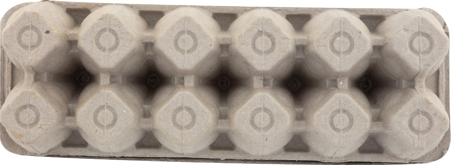 Wilcox Pasture Raised Organic Large Eggs, 1 dozen view 2