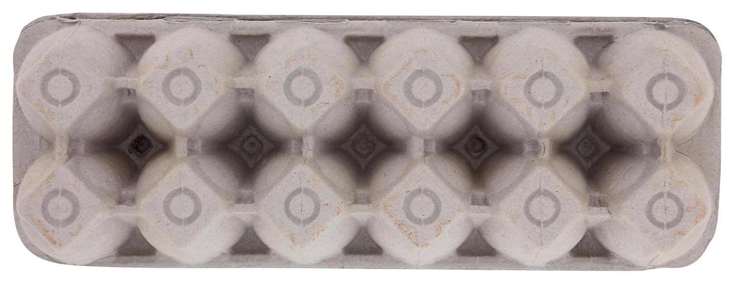 FARMERS HEN HOUSE Organic Jumbo Grade A Eggs, 12 CT view 2