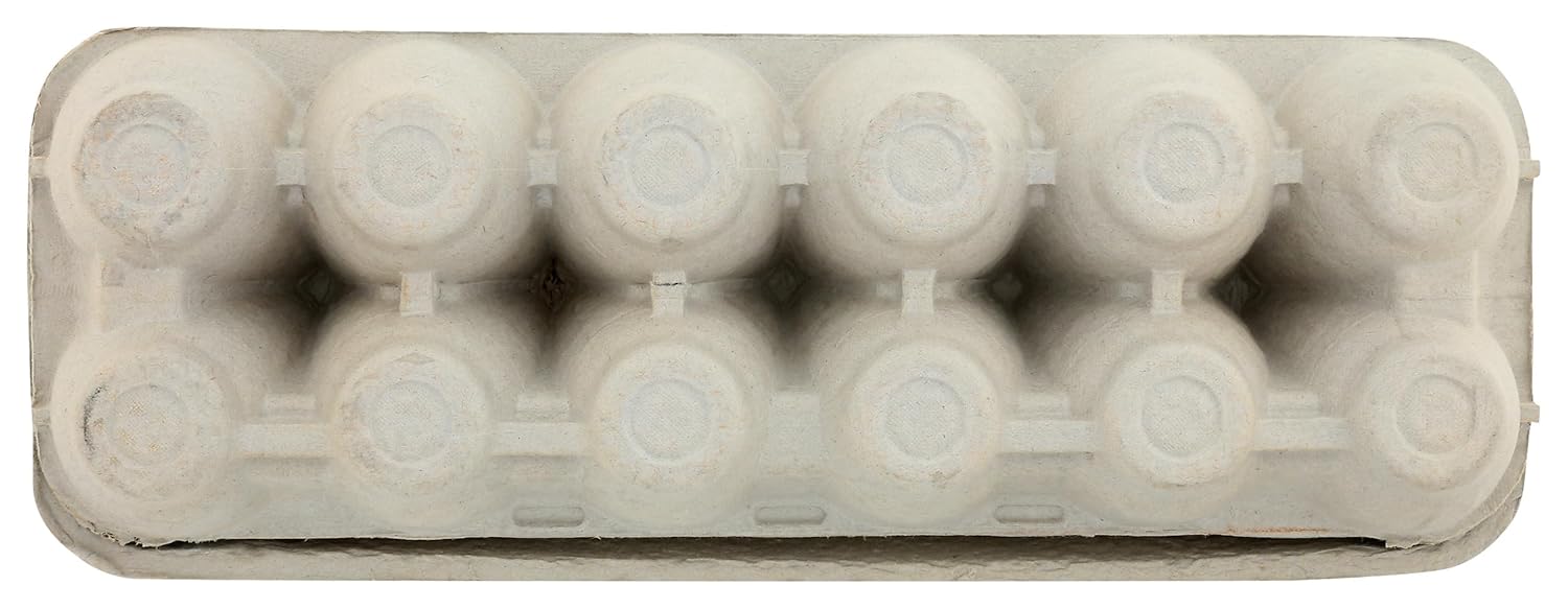 SHENANDOAH VALLEY FAMILY FARMS Organic Large Grade A Eggs, 12 CT view 2