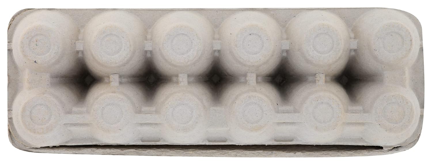 Burroughs Family Farms Organic Large Grade AA Eggs, 12 CT view 2