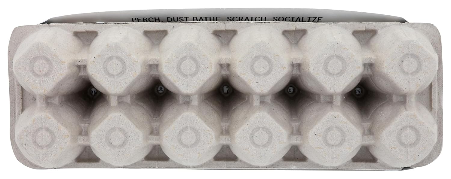 BLUE SKY FAMILY FARMS Brown Large Grade A Eggs, 12 CT view 2