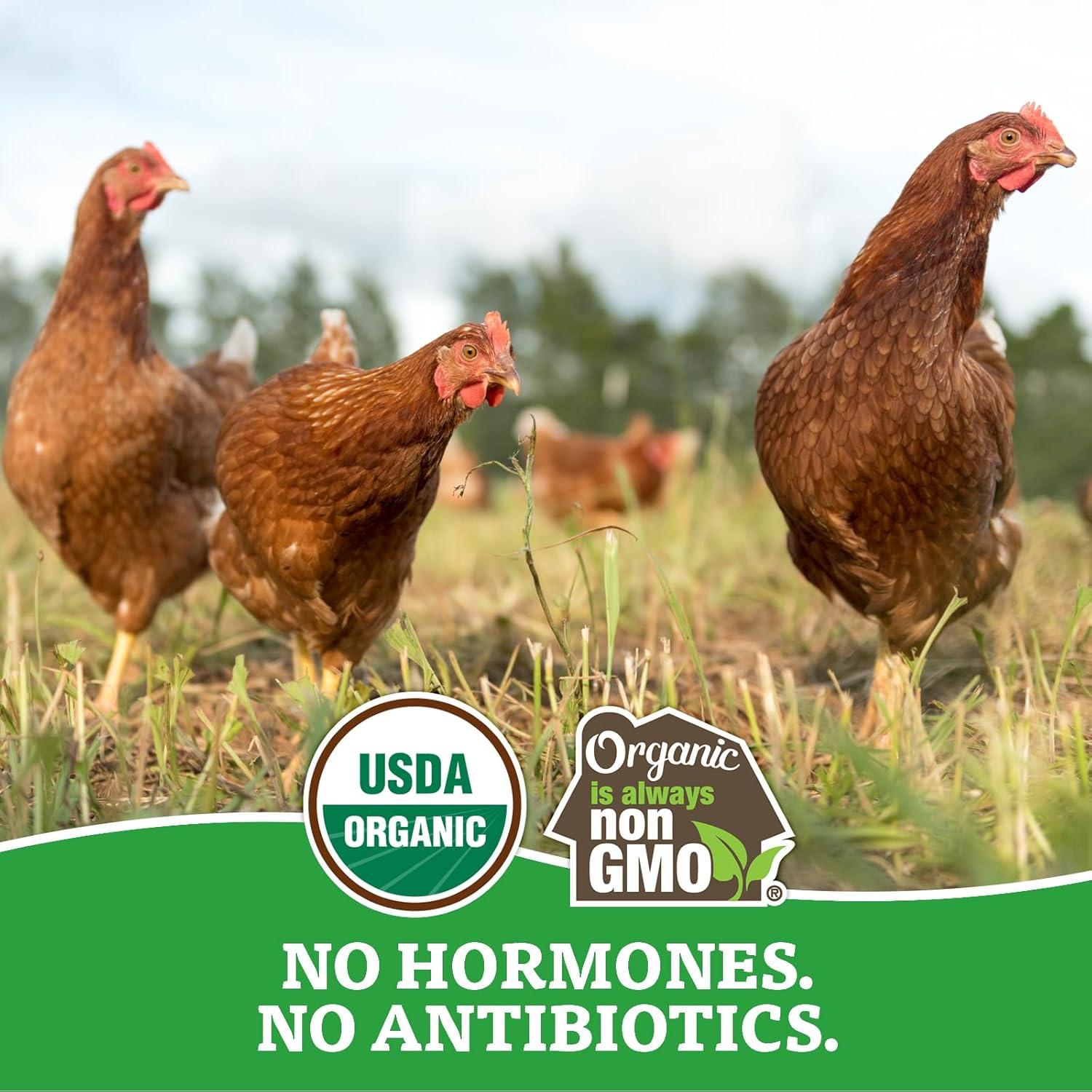 Organic Valley Pasture Raised Eggs, 12 ct view 4