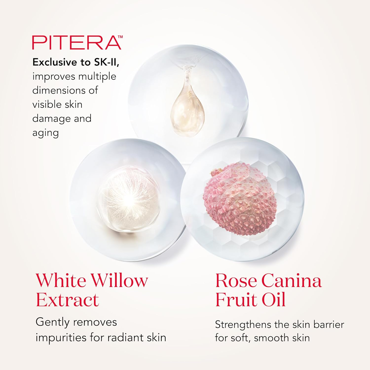 SK-II Foaming Facial Cleanser - Gentle Face Cleanser for Dull, Dry Skin - Visibly Improves Radiance and Removes Impurities to Reveal a Smoother, Healthier Complexion (3.6 oz) view 4