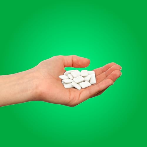 PUR Spearmint Gum view 4