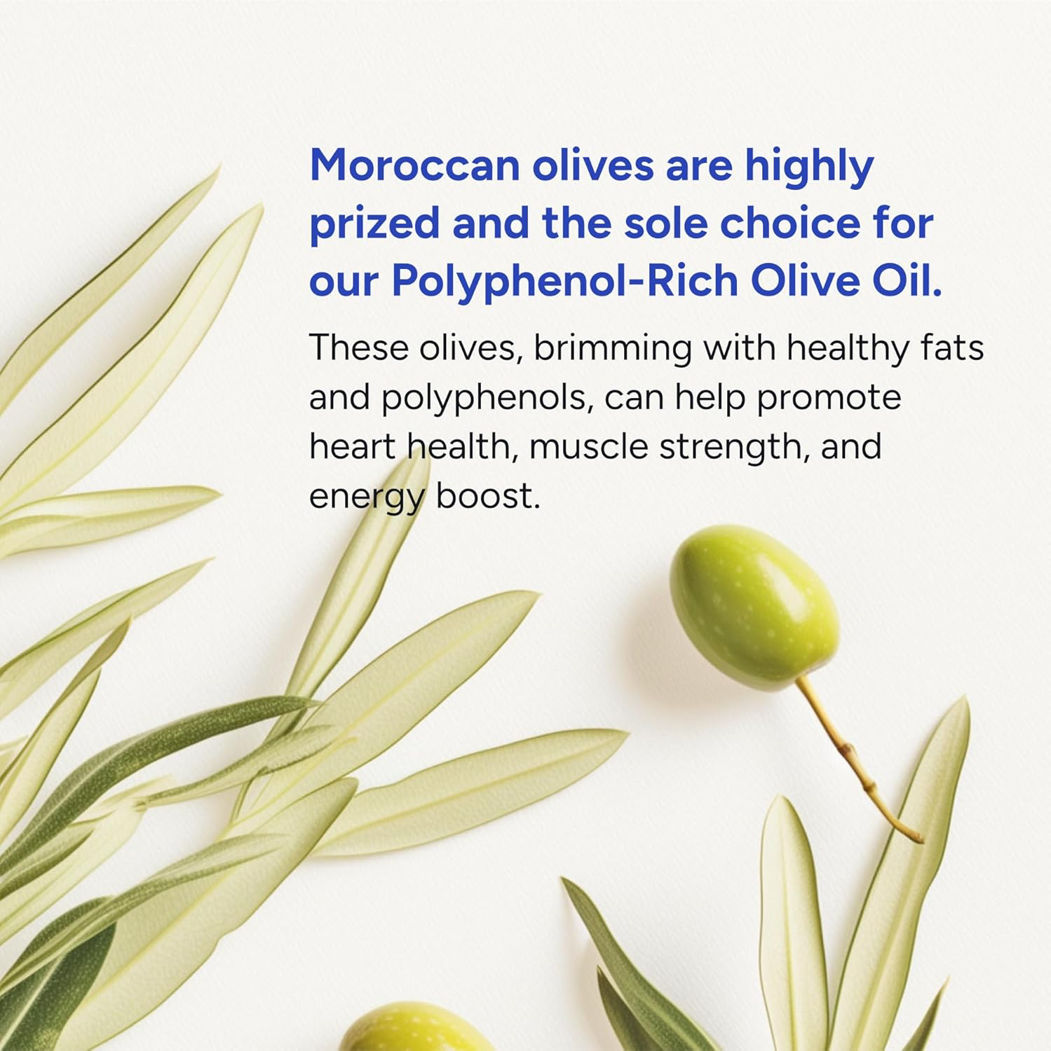 Gundry MD® Organic Extra Virgin First Cold Press Moroccan Polyphenol Rich Olive Oil (Olive Oil) (1) view 4