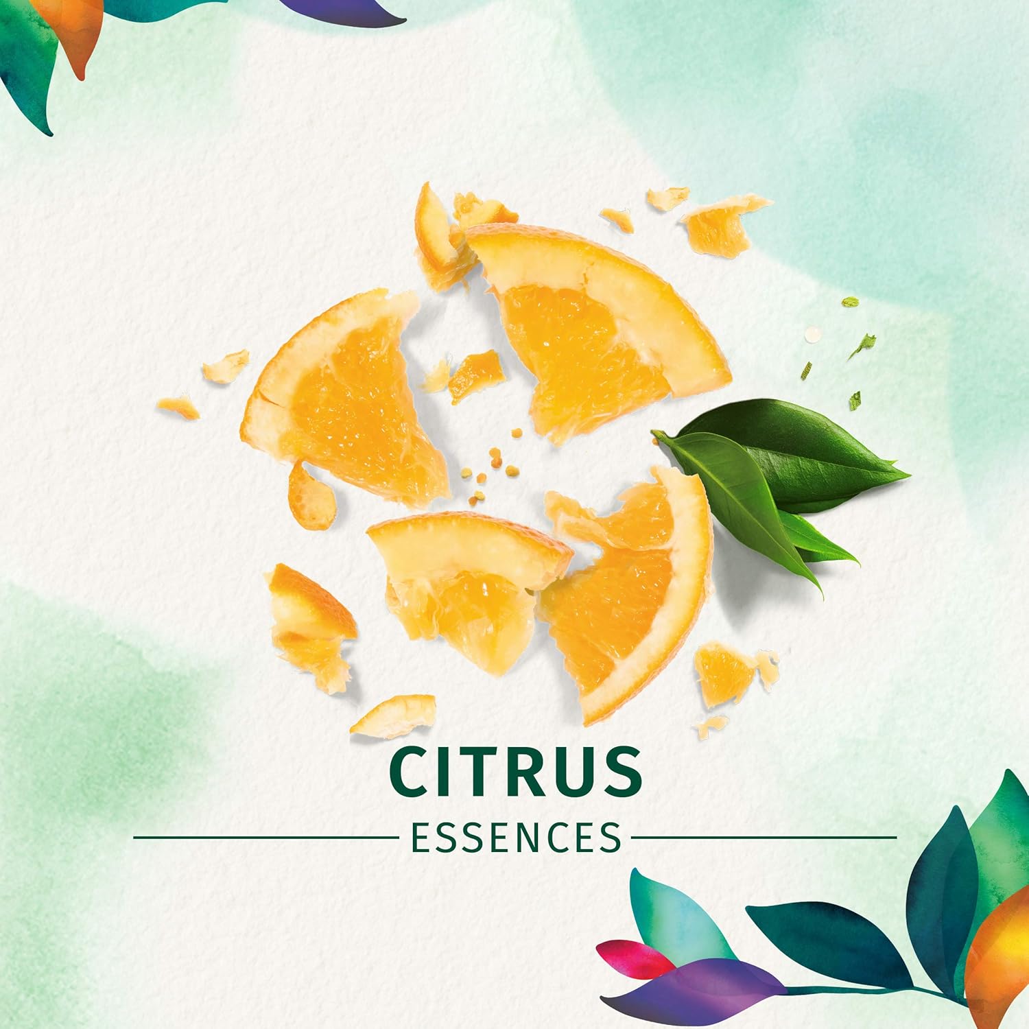 Herbal Essences Body Envy Volumizing Mousse 6.8 oz (Pack of 12) view 4