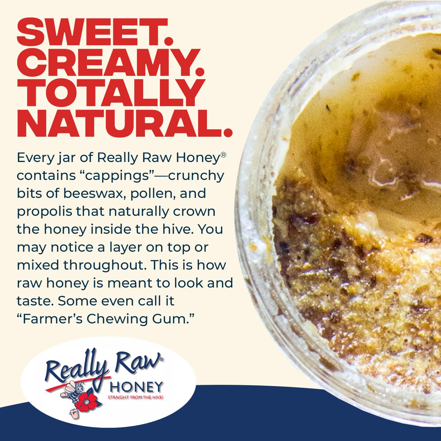 Really Raw Honey, Straight from the Hive, Never Heated or Filtered, Harvested from Small USA Family Farms, Smooth and Dense view 4