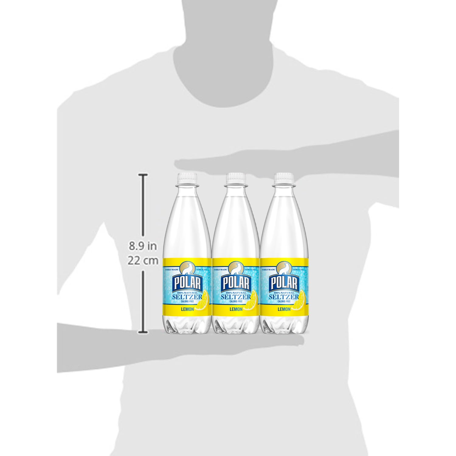 Polar Seltzer Lemon, 20 fl oz bottles (Pack of 12) view 4