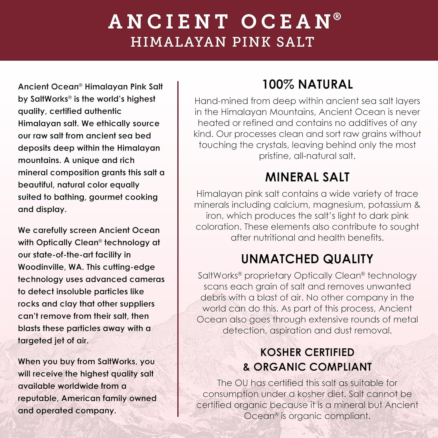 SaltWorks Ancient Ocean Himalayan Pink Salt Fine - 16 oz view 3