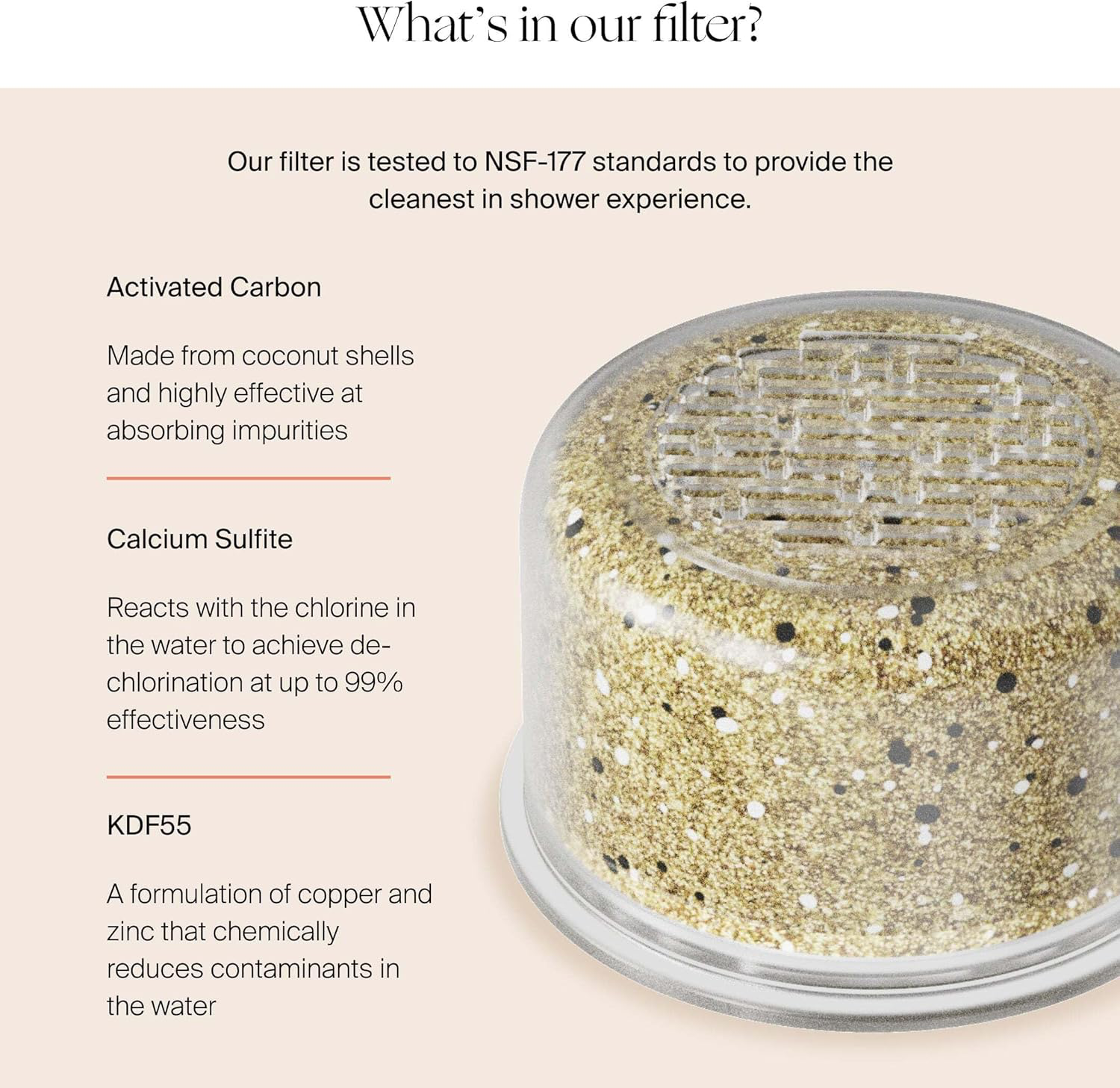 Canopy Filtered Shower Head view 2