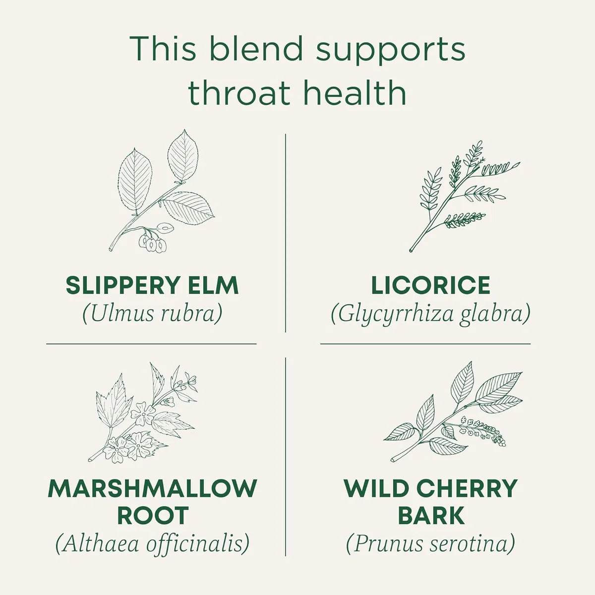 Traditional Medicinals Organic Throat Coat view 3