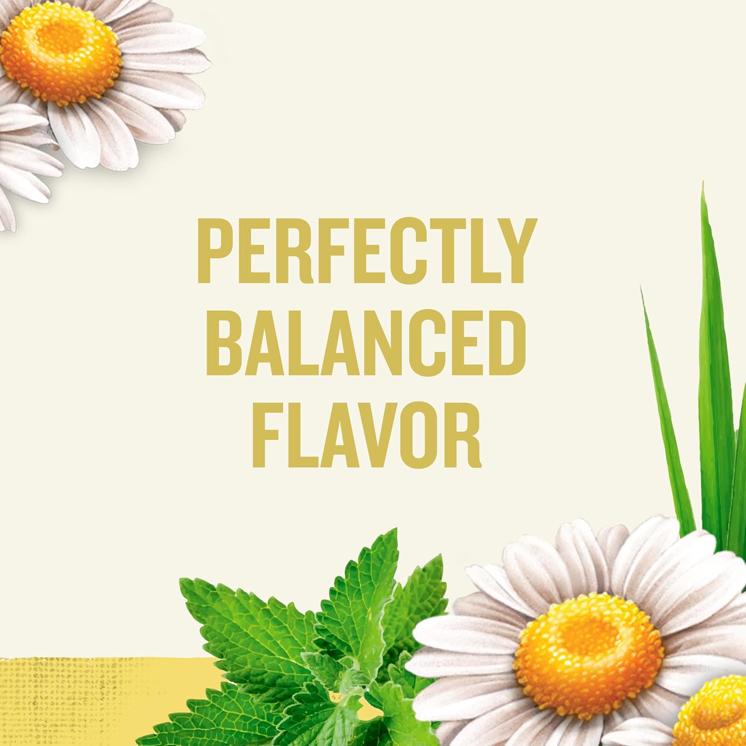 Celestial Seasonings Chamomile Herbal Tea view 3