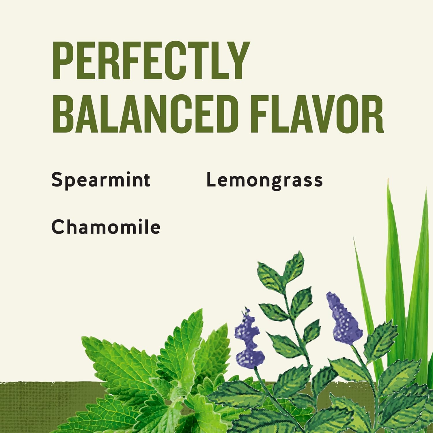 Celestial Seasonings Sleepytime Herbal Tea view 3