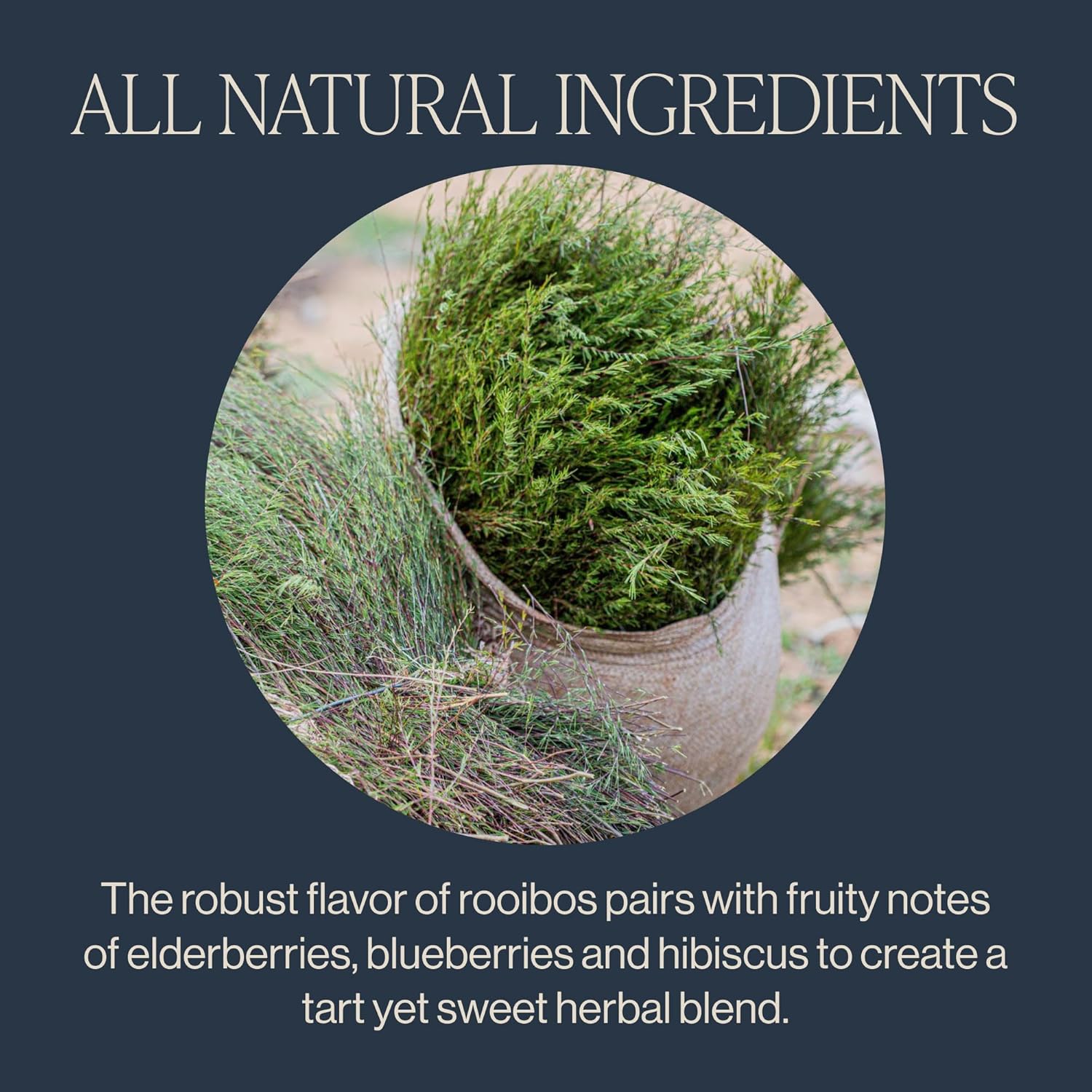 Rishi Tea Blueberry Rooibos Herbal Tea - Organic view 3