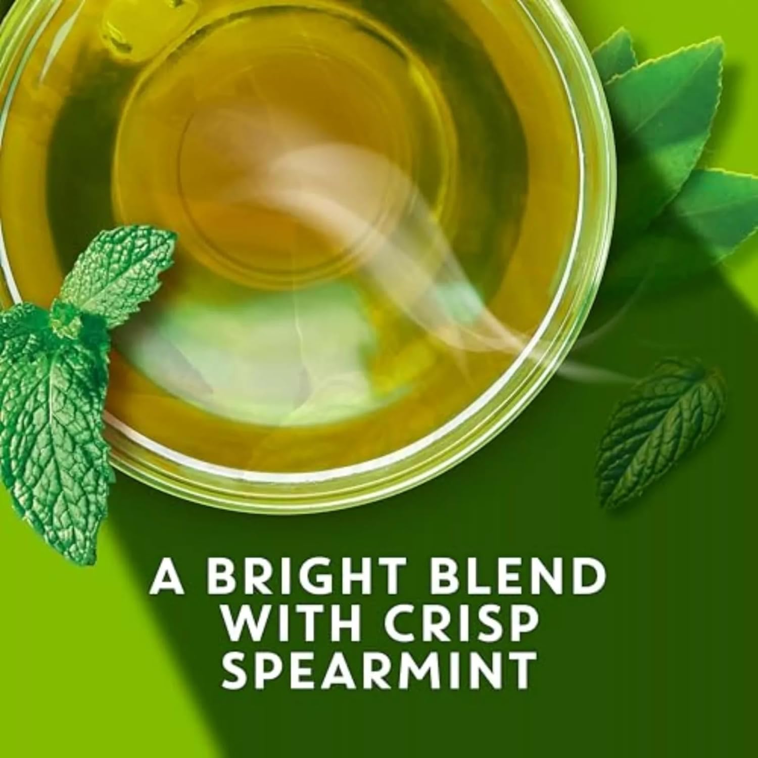 TAZO Tea Bags, Green Tea, Regenerative Organic Zen Tea, 36 Count view 3