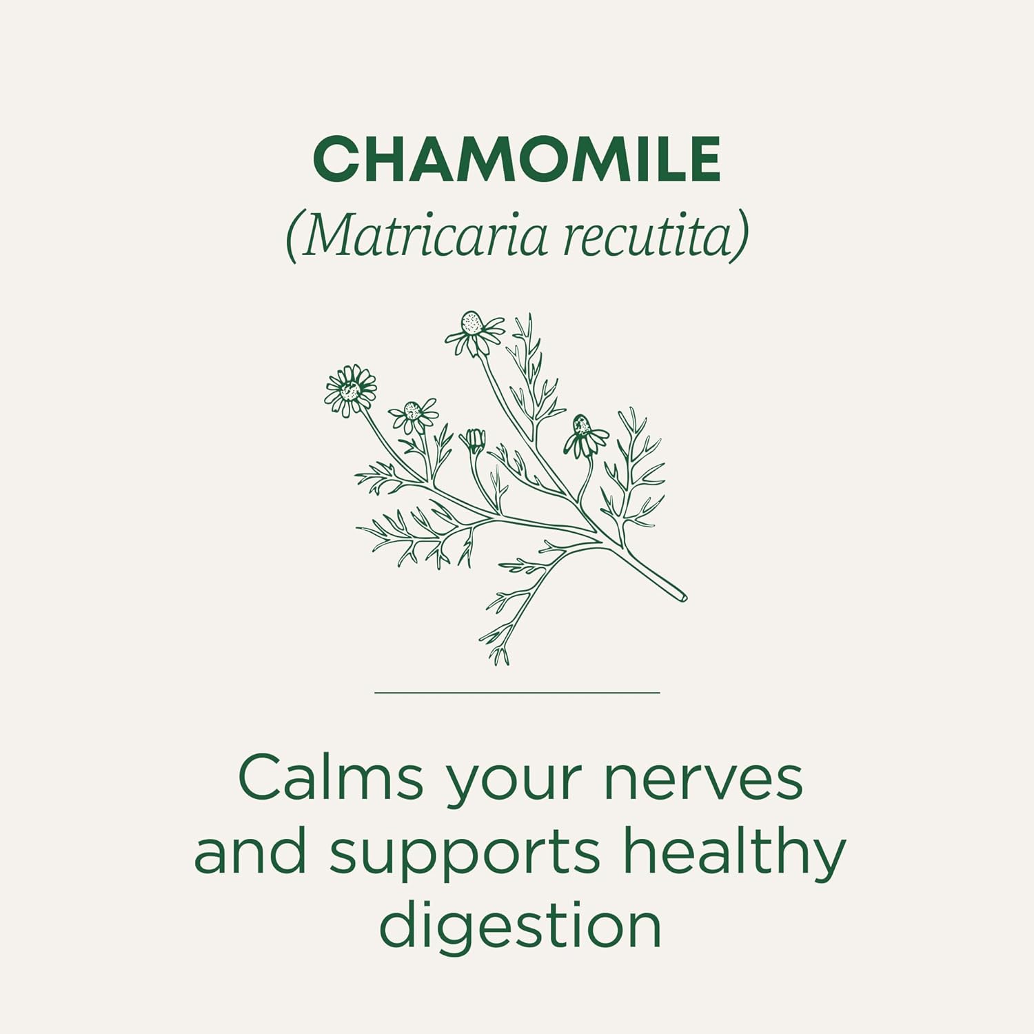 Traditional Medicinals Organic Chamomile Tea - Stress Relief view 3