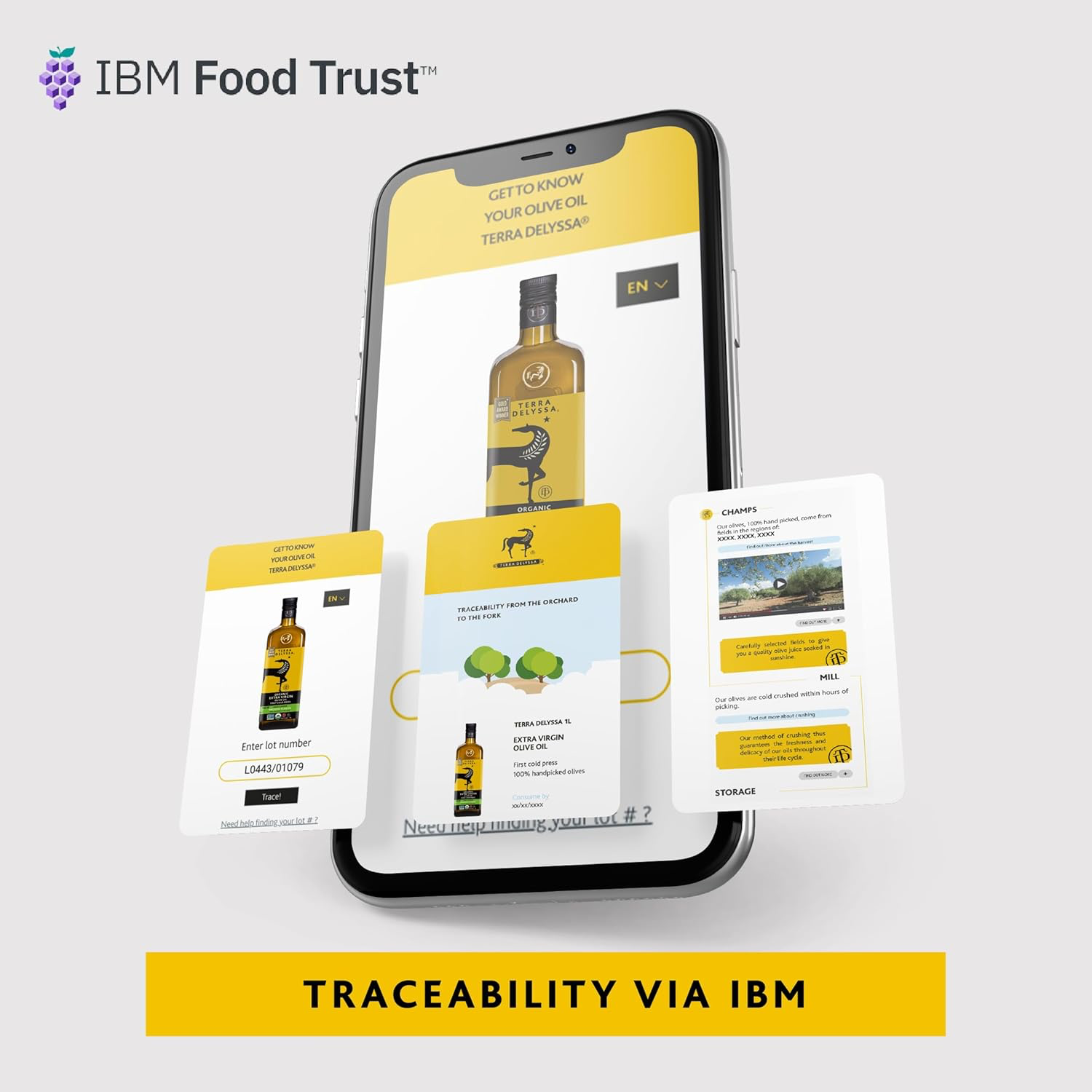 Terra Delyssa Organic Extra Virgin Olive Oil view 4