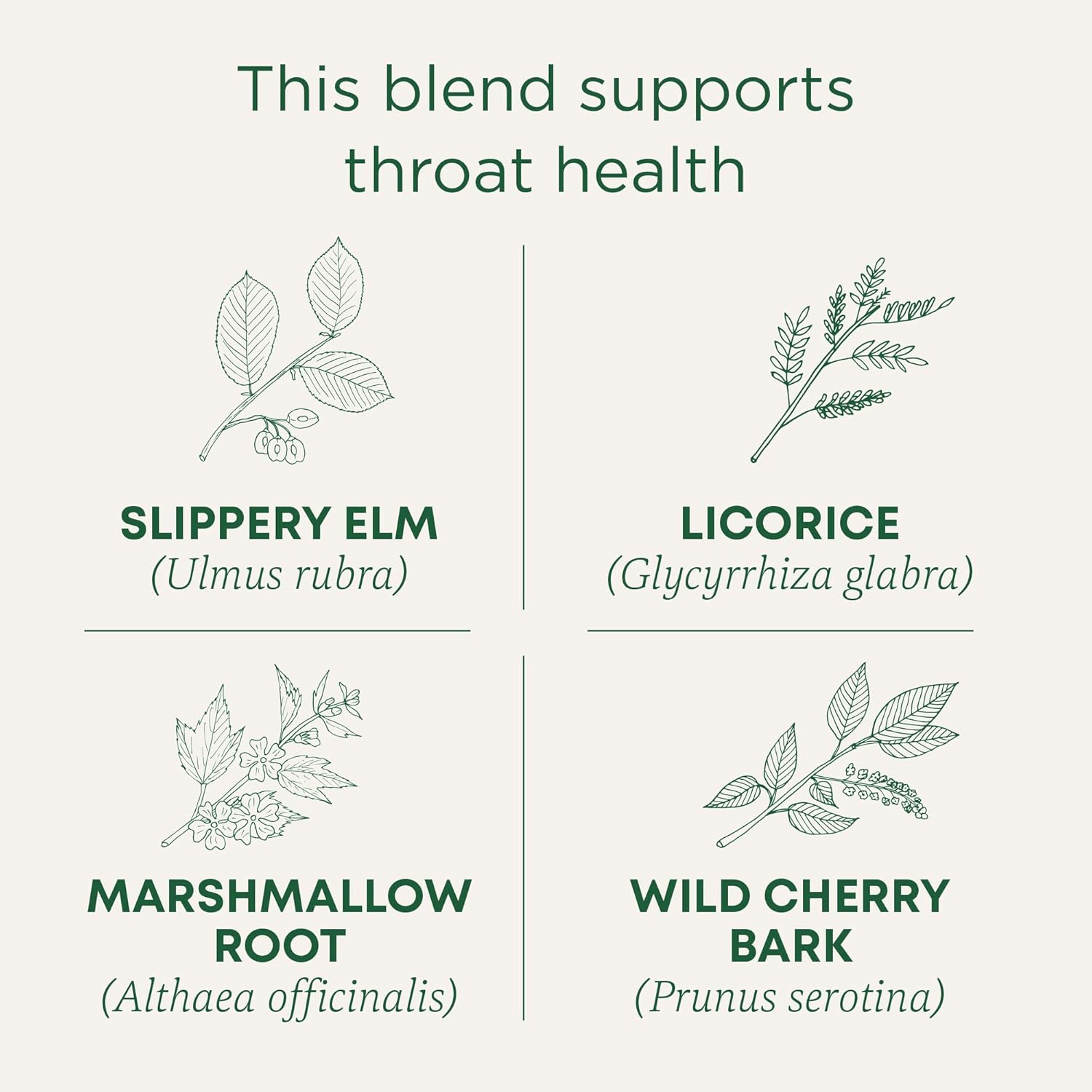Traditional Medicinals Organic Throat Coat Tea view 3