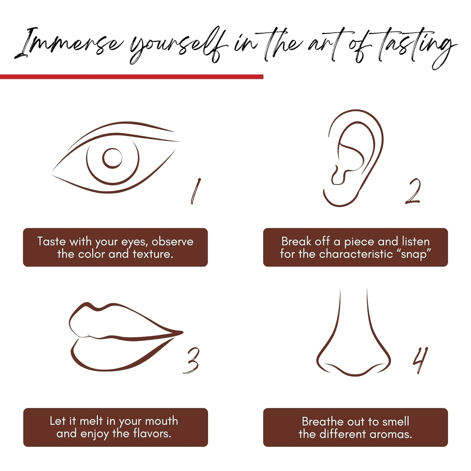 Valrhona Abinao Dark Chocolate 85% Cacao view 4