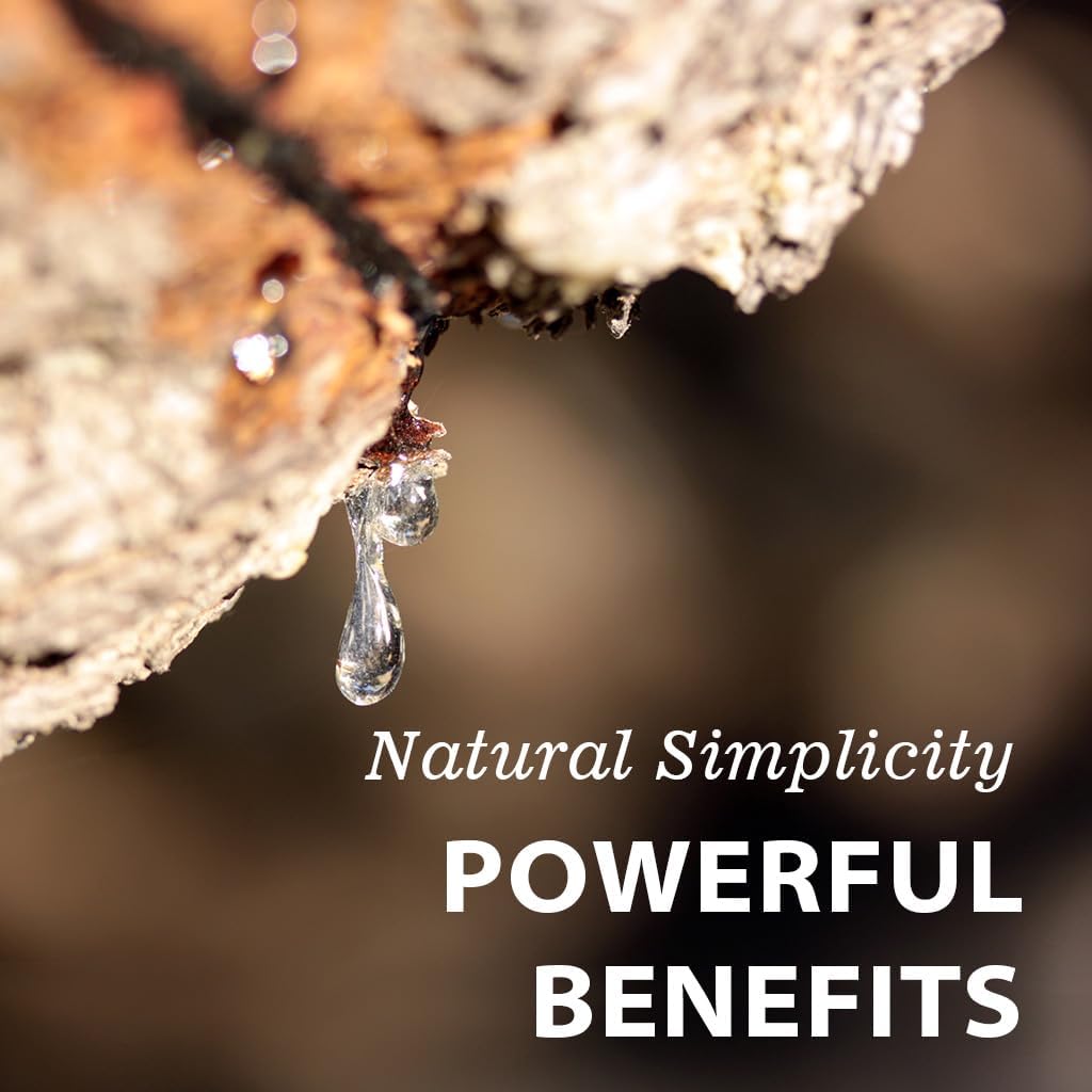 Vitamatic Mastic Gum 1000mg - 120 Capsules view 4